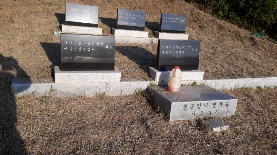 묘지조성