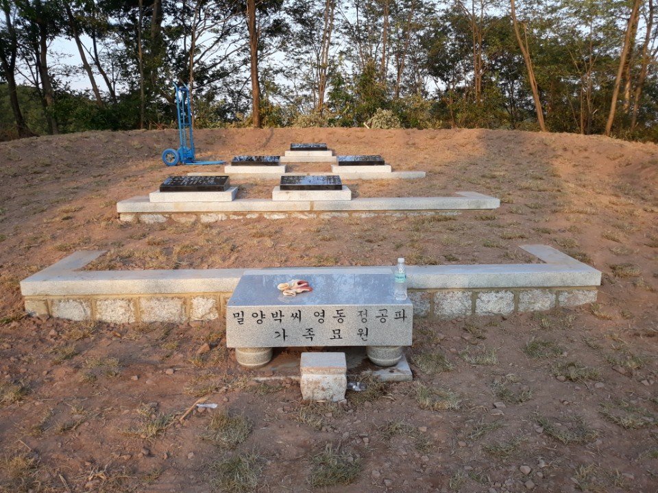 묘지조성