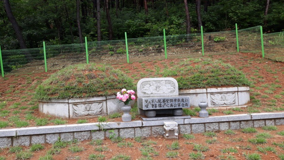 벌초